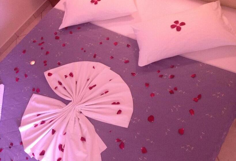 Студия Стандарт Вид на Море, Land Of Gods