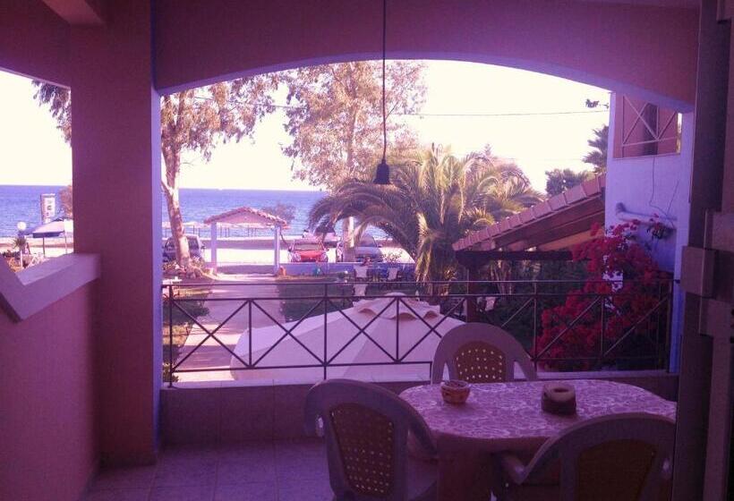 Студия Стандарт Вид на Море, Land Of Gods