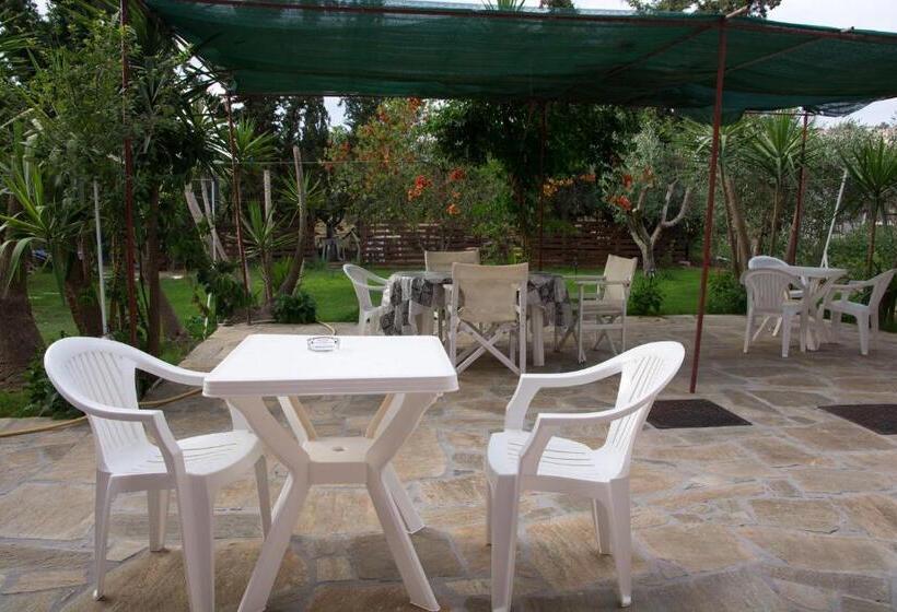 Студио Стандарт Вид на Сад, Land Of Gods