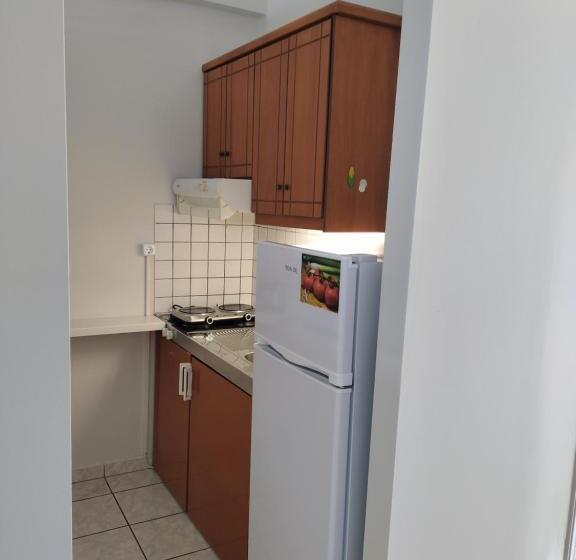 סטודיו סטנדרטי נוף לים, Captain Nick Apart