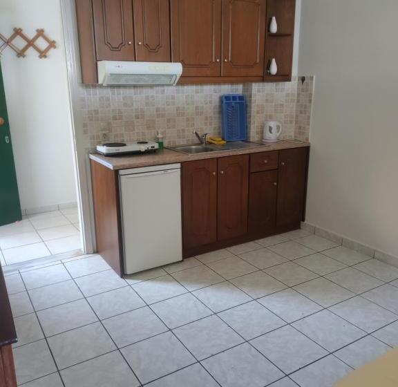 סטודיו סטנדרטי נוף לים, Captain Nick Apart