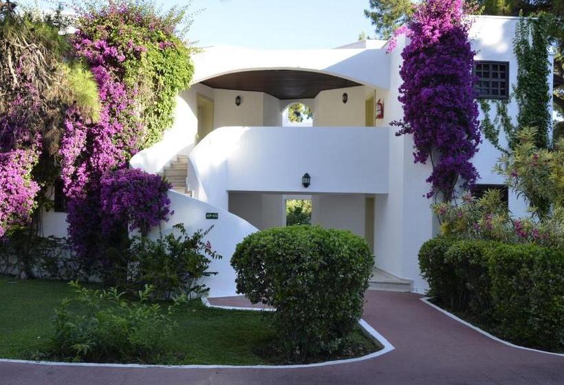 اتاق استاندارد, Emelda Sun Club