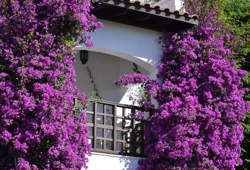 اتاق خانوادگی, Emelda Sun Club