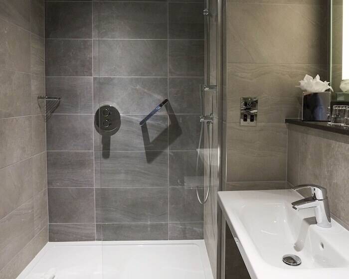 行政单人间, Maldron Hotel Kevin Street, Dublin City