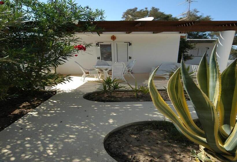 标准间, Oasi Di Casablanca