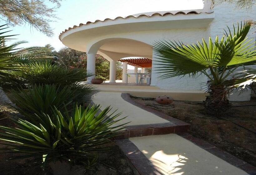 标准间, Oasi Di Casablanca