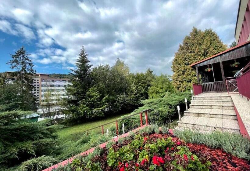 标准间带露台, Penzion Zornicka