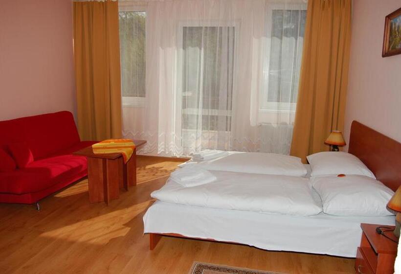 带1个卧室的带阳台的公寓, Penzion Zornicka