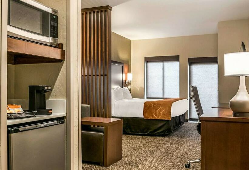 سوئیت با بالکن, Comfort Suites Florence  Cincinnati South
