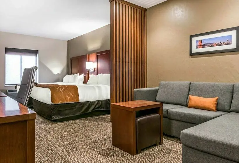 スイート, Comfort Suites Florence  Cincinnati South