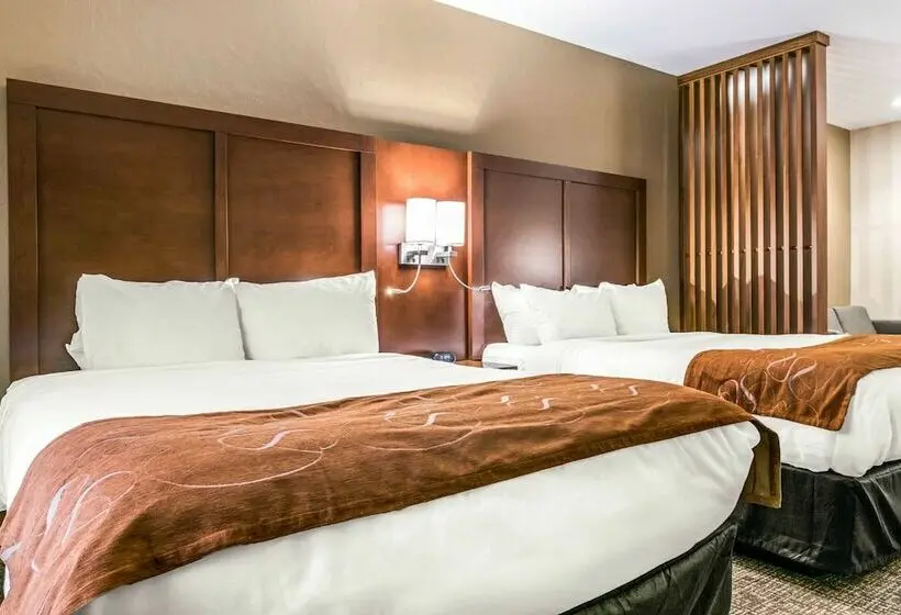 スイート, Comfort Suites Florence  Cincinnati South