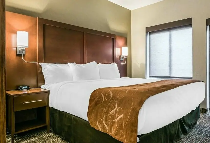 バルコニー付スイート, Comfort Suites Florence  Cincinnati South