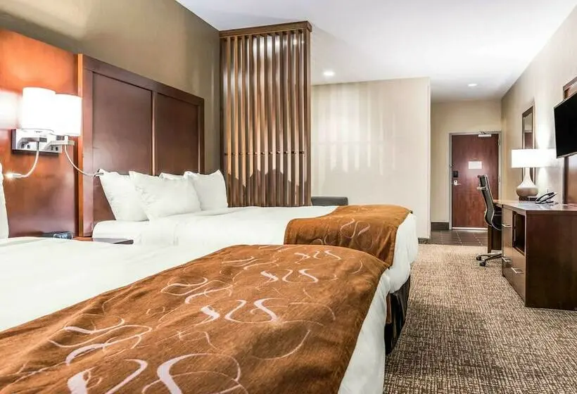スイート, Comfort Suites Florence  Cincinnati South