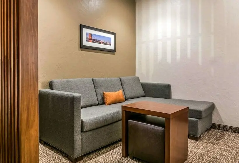 スイート, Comfort Suites Florence  Cincinnati South