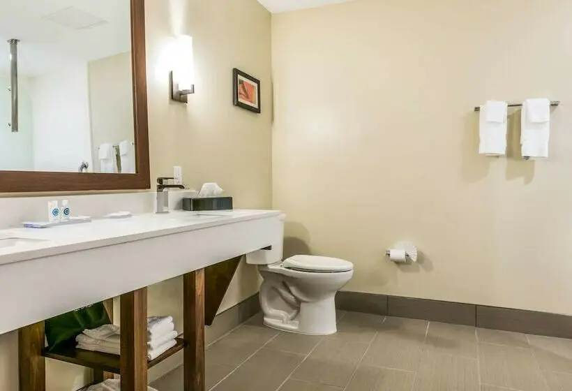 バルコニー付スイート, Comfort Suites Florence  Cincinnati South