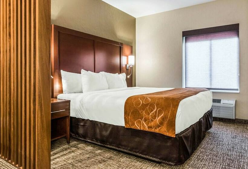 스위트, Comfort Suites Florence  Cincinnati South