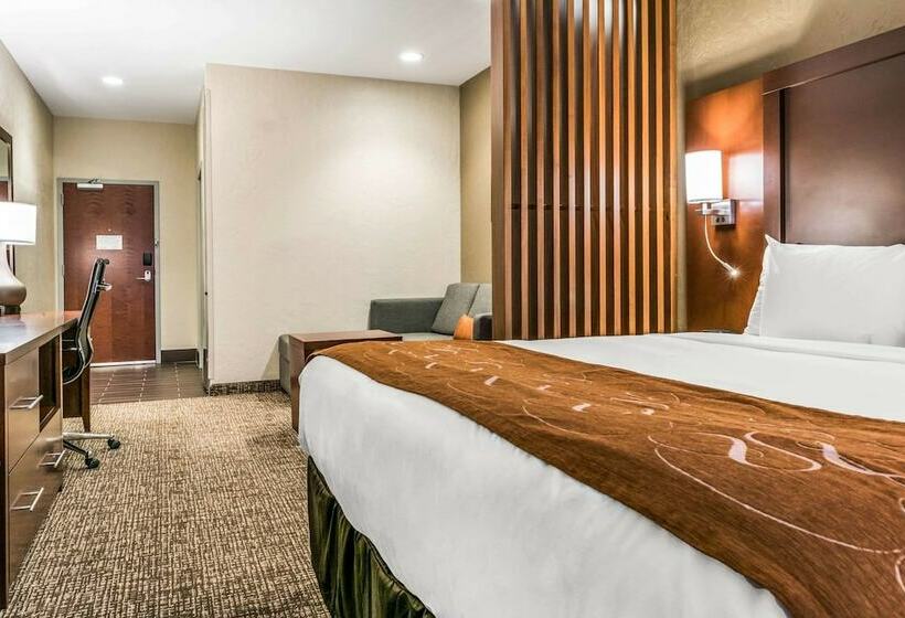 سوییت, Comfort Suites Florence  Cincinnati South