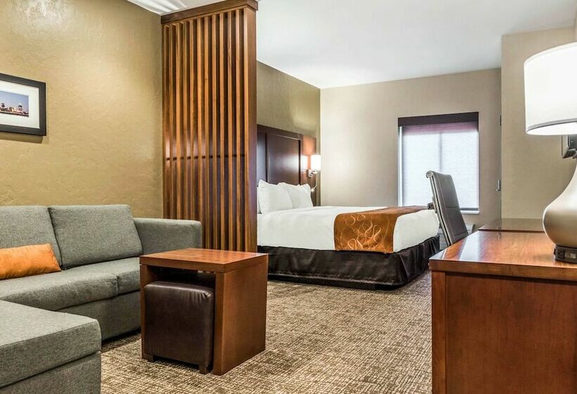 سوییت, Comfort Suites Florence  Cincinnati South