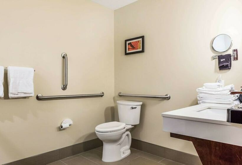 스위트, Comfort Suites Florence  Cincinnati South
