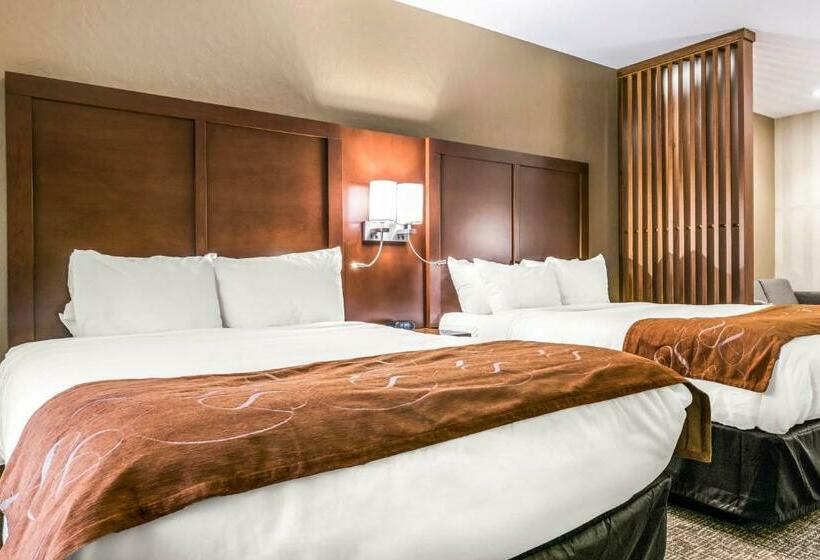 سوییت, Comfort Suites Florence  Cincinnati South