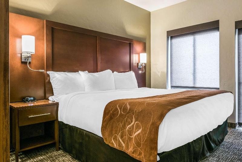 سوییت, Comfort Suites Florence  Cincinnati South