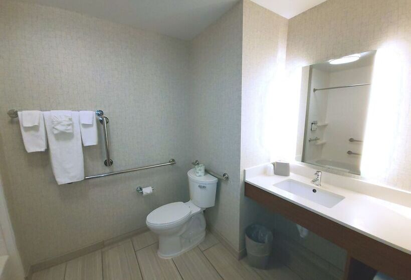 جناح لذوى الاحتياجات الخاصة, Holiday Inn Express & Suites   Nebraska City, An Ihg