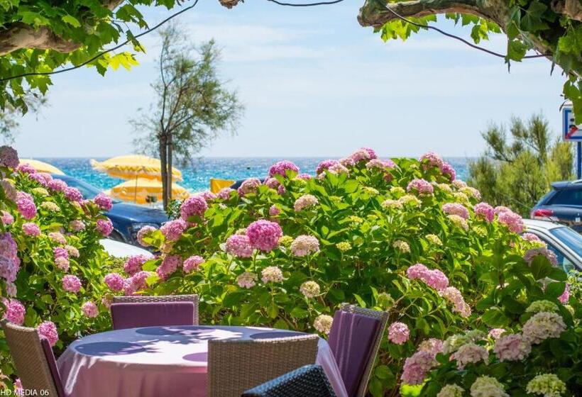 اتاق استاندارد با چشم‌انداز, Hôtel Méditerranée