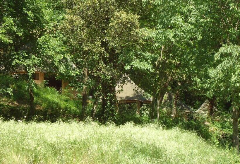 수피리어 룸 강 전망, Prehistoric Lodge   Adult Only