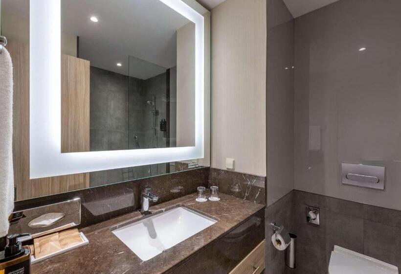 غرفة قياسية, Tbilisi Saburtalo Hotel By Mercure