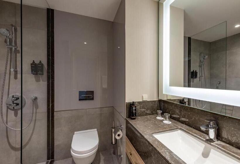 اتاق سوپریور, Tbilisi Saburtalo Hotel By Mercure
