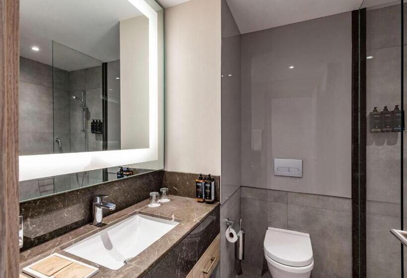 غرفة سوبيريور, Tbilisi Saburtalo Hotel By Mercure