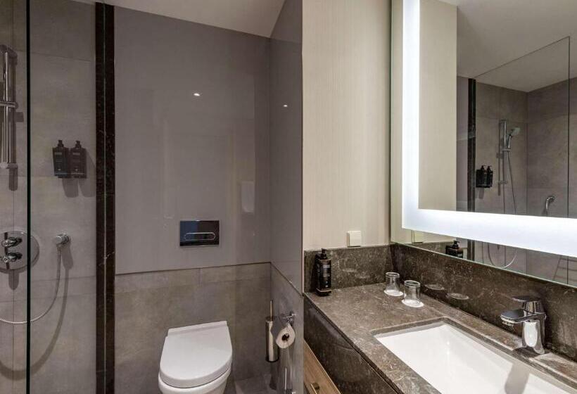 غرفة قياسية, Tbilisi Saburtalo Hotel By Mercure