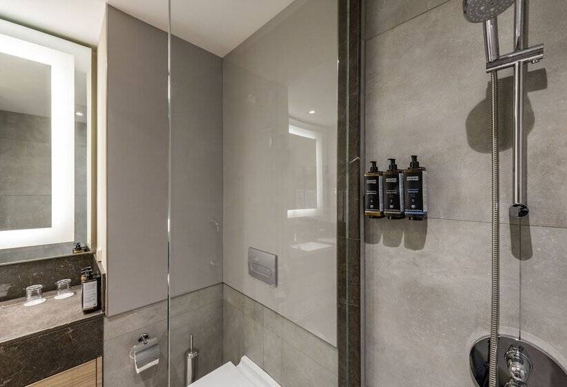 غرفة قياسية, Tbilisi Saburtalo Hotel By Mercure