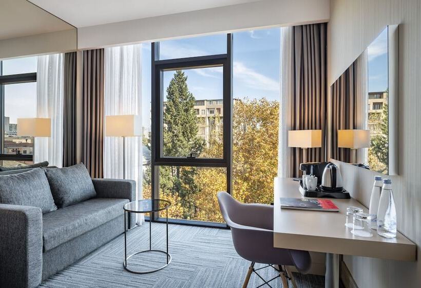اتاق سوپریور, Tbilisi Saburtalo Hotel By Mercure