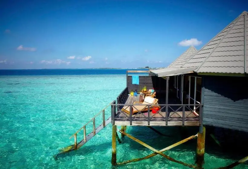 ویلای 1 خوابه, Komandoo Island Resort & Spa