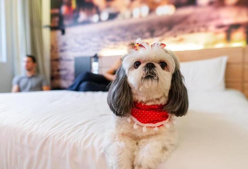 수피리어 룸, Novotel Curitiba Batel