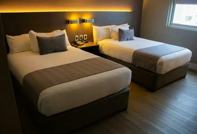 スタンダードルーム, Radisson  Curico