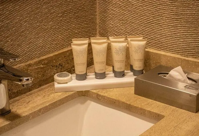 スタンダードルーム, Radisson  Curico