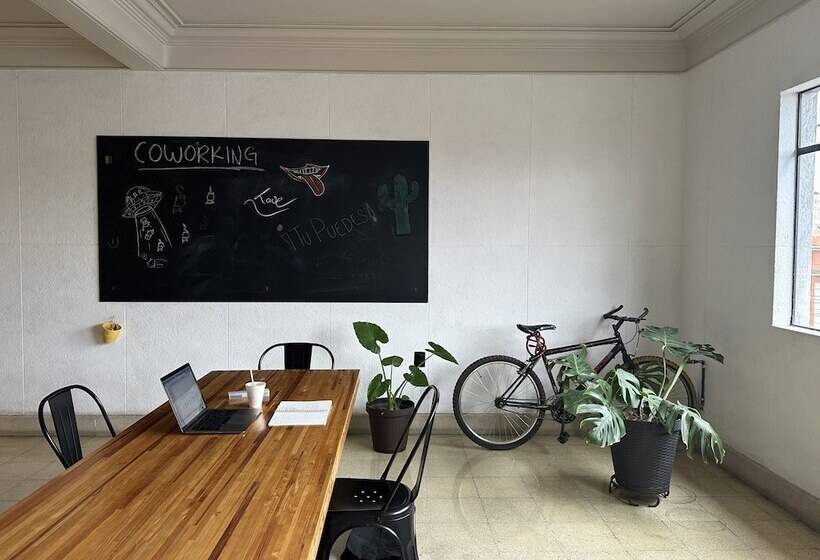 Номер Стандарт Индивидуальный Совместная Ванная, Hostal Andaina