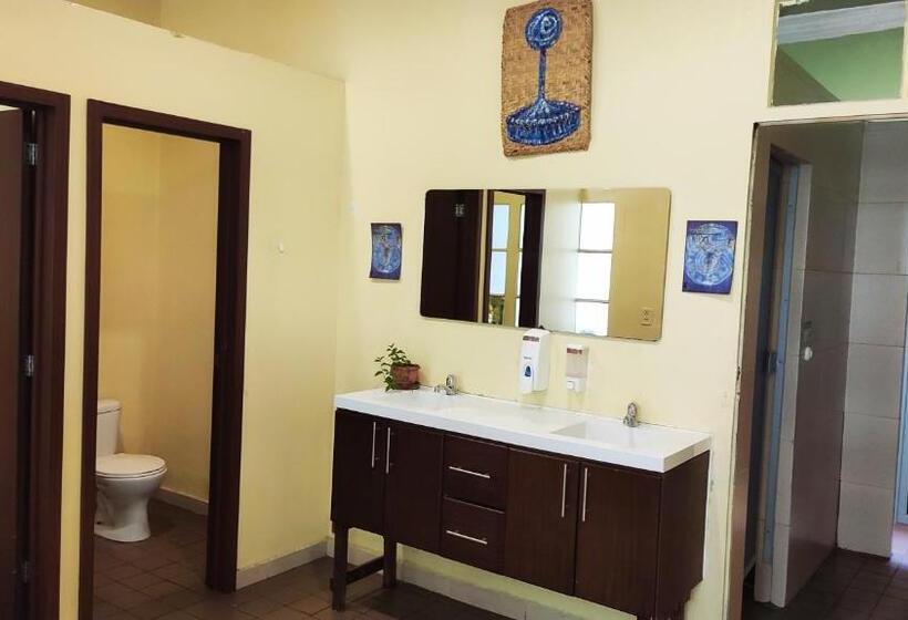 ルームシェアのワンベッド, Hostal Yakumama