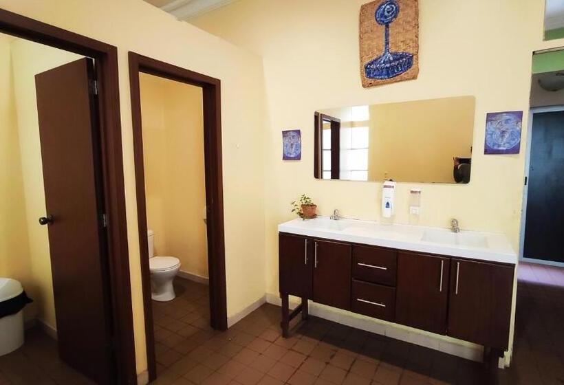 ルームシェアのワンベッド, Hostal Yakumama