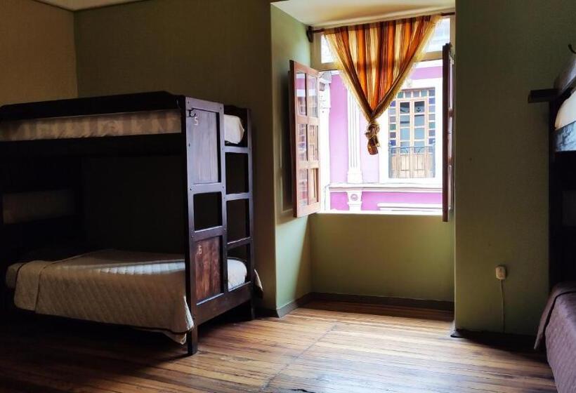 공동 객실, Hostal Yakumama
