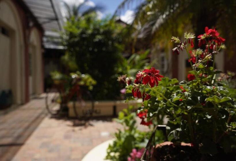 ガーデンビュースタンダードルーム, Hostal Yakumama