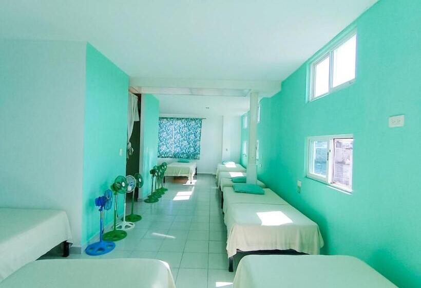 ルームシェアのワンベッド, Posada Nacha`n Ka`an