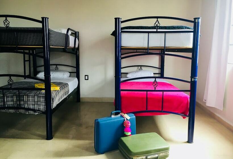 Трехместный Номер Стандарт Совместная Ванная, Hostal Andaina