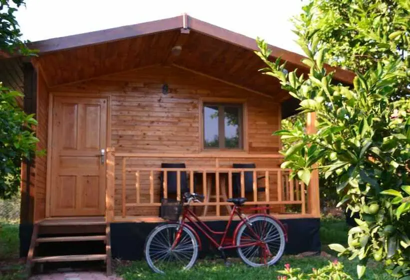 بانگلوی استاندارد, Lemon Garden Lodge