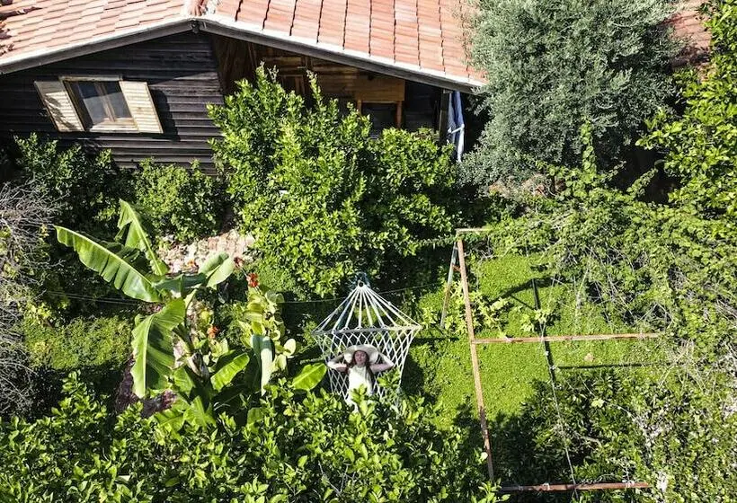 سوییت خانوادگی, Lemon Garden Lodge