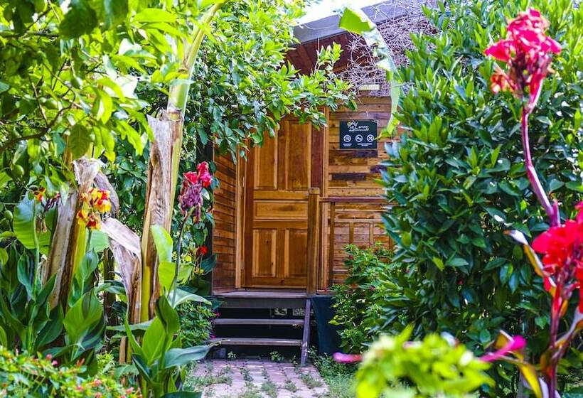 בקתה סטנדרטית, Lemon Garden Lodge