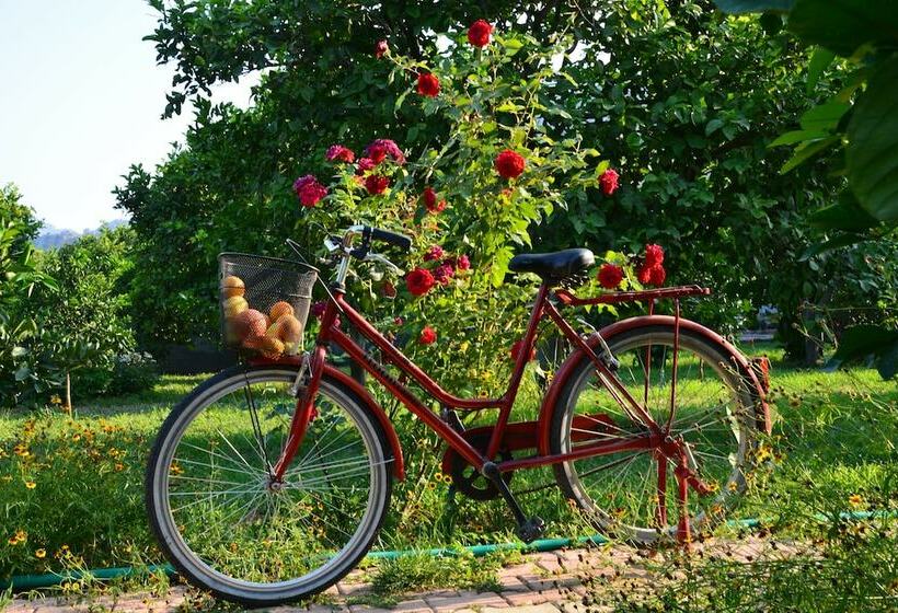 Бунгало Стандарт, Lemon Garden Lodge
