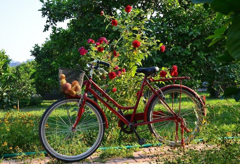 סוויטה משפחתית, Lemon Garden Lodge